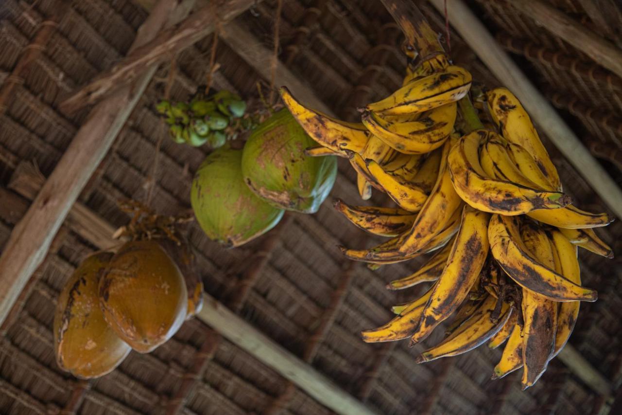 Afriican Village Zanzibar Michamvi Kae Bagian luar foto