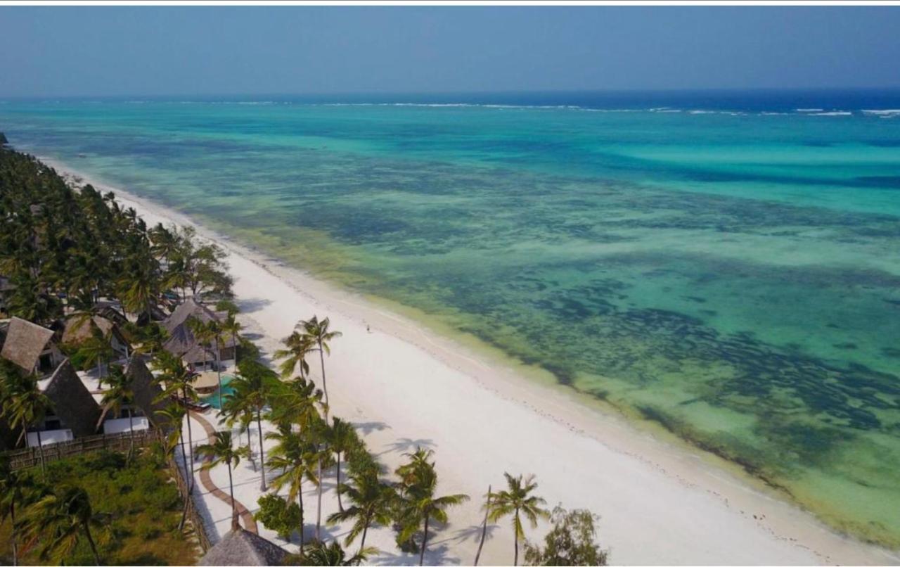 Afriican Village Zanzibar Michamvi Kae Bagian luar foto