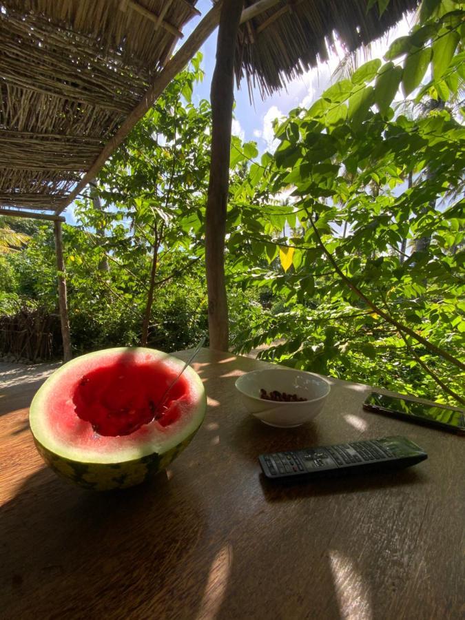 Afriican Village Zanzibar Michamvi Kae Bagian luar foto