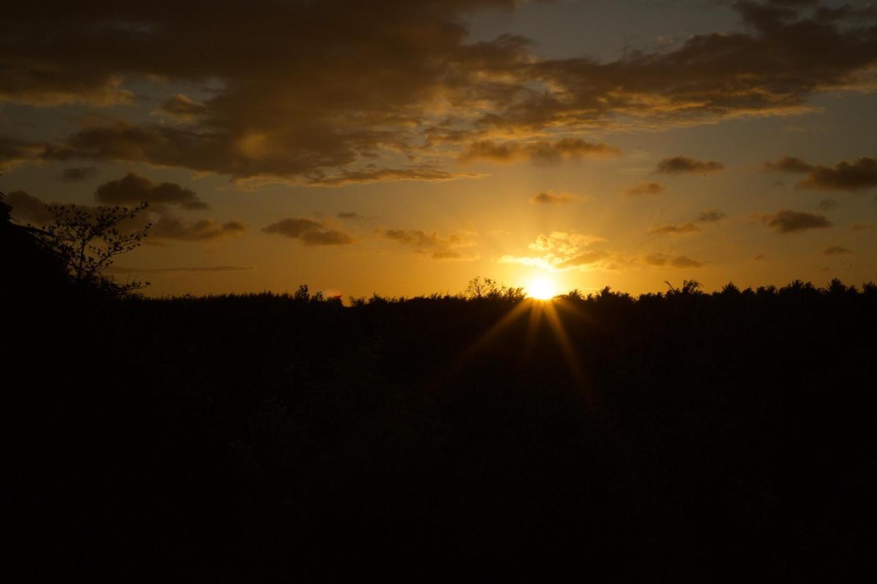 Afriican Village Zanzibar Michamvi Kae Bagian luar foto