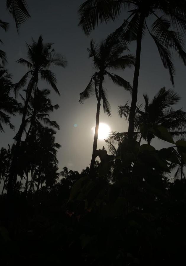 Afriican Village Zanzibar Michamvi Kae Bagian luar foto